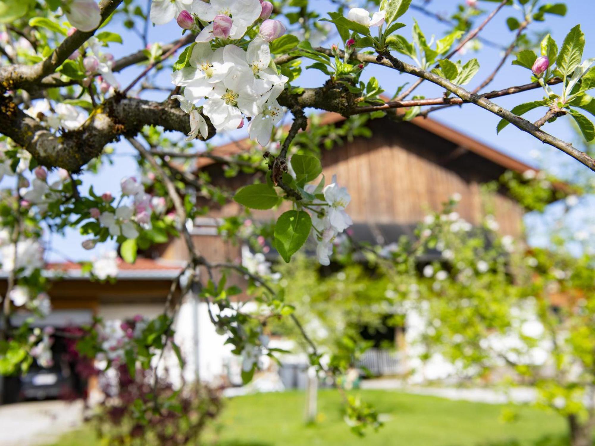 Auszeit Am Bauernhof Daire Schwoich Dış mekan fotoğraf
